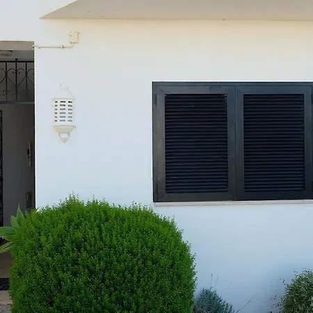 Apartment Bloom Place - Acolhedor Com Terraco *